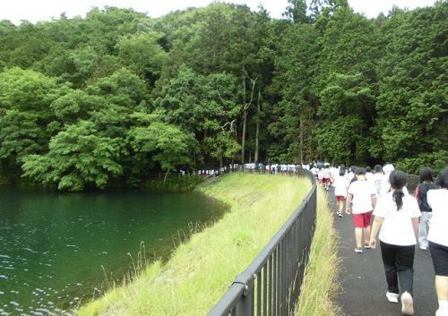 朝の散歩
