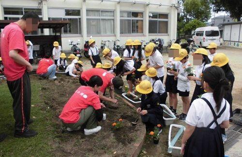 3年生花の苗植えの様子