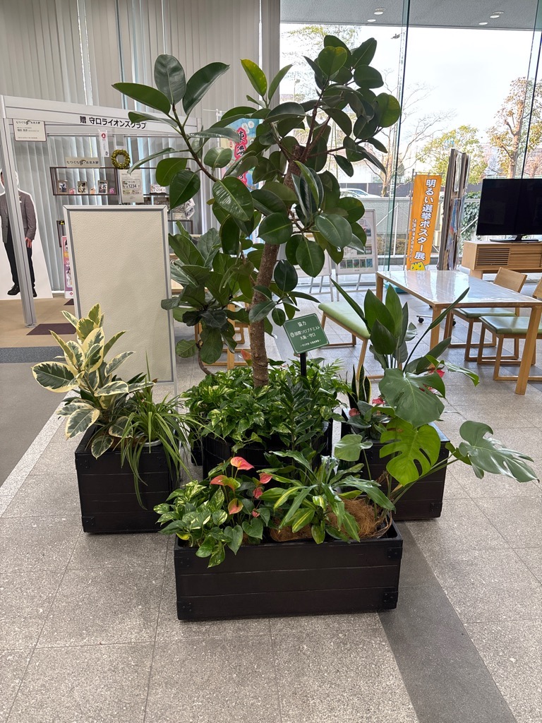 正面玄関ロビーの緑・花啓発花壇