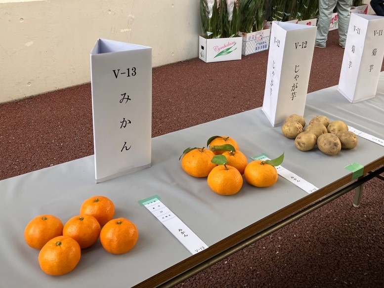 農産物品評会2