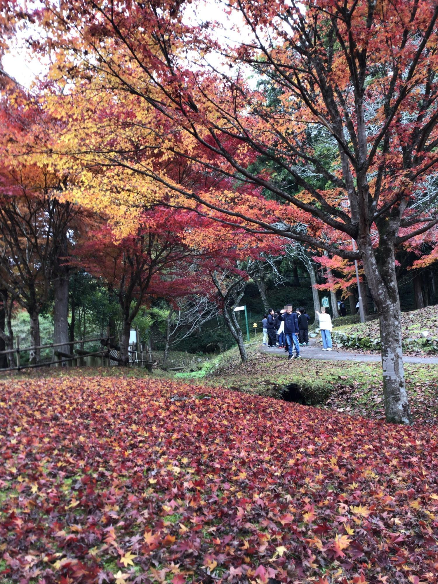 林間学舎の写真