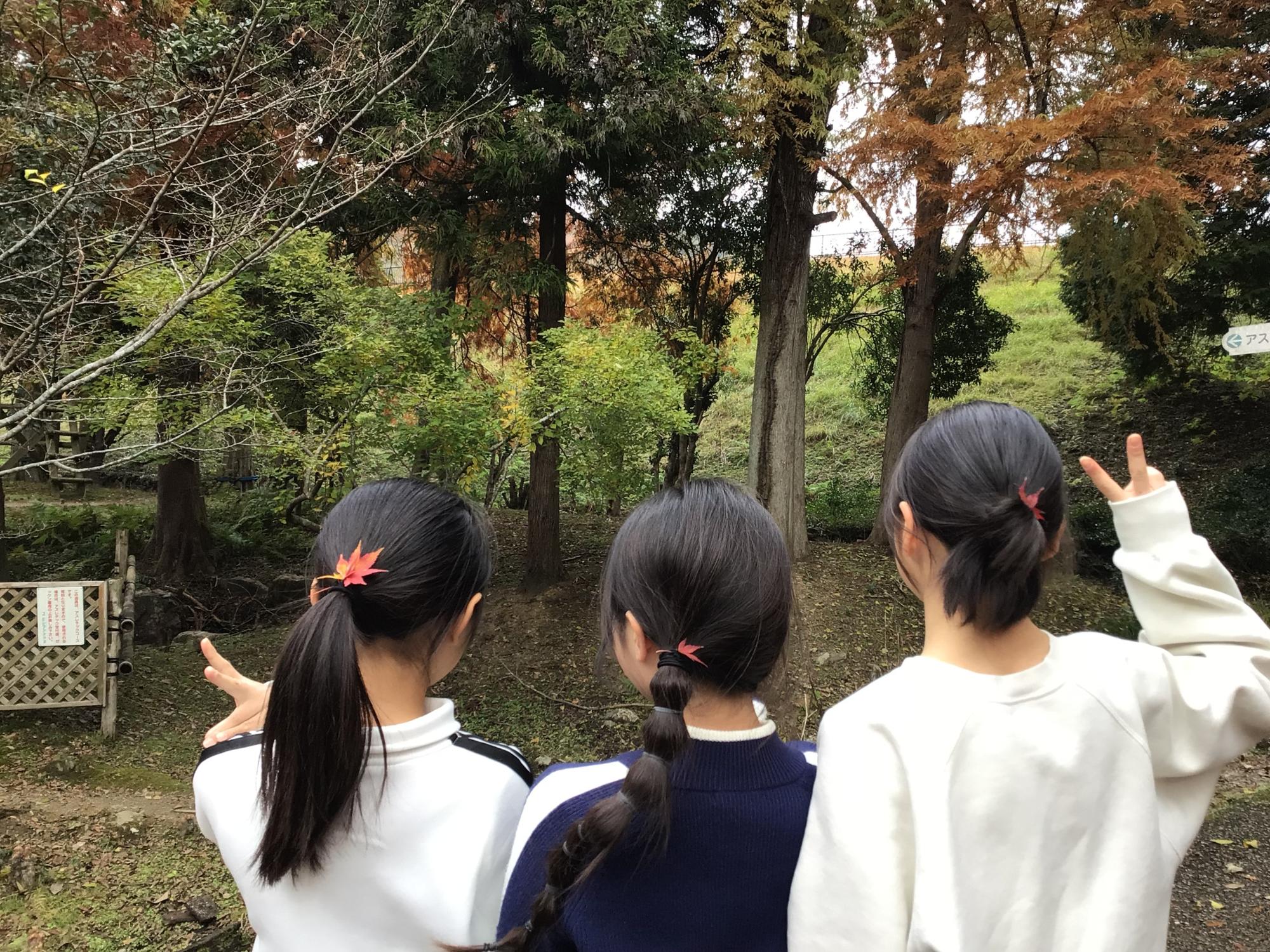 林間学舎の写真