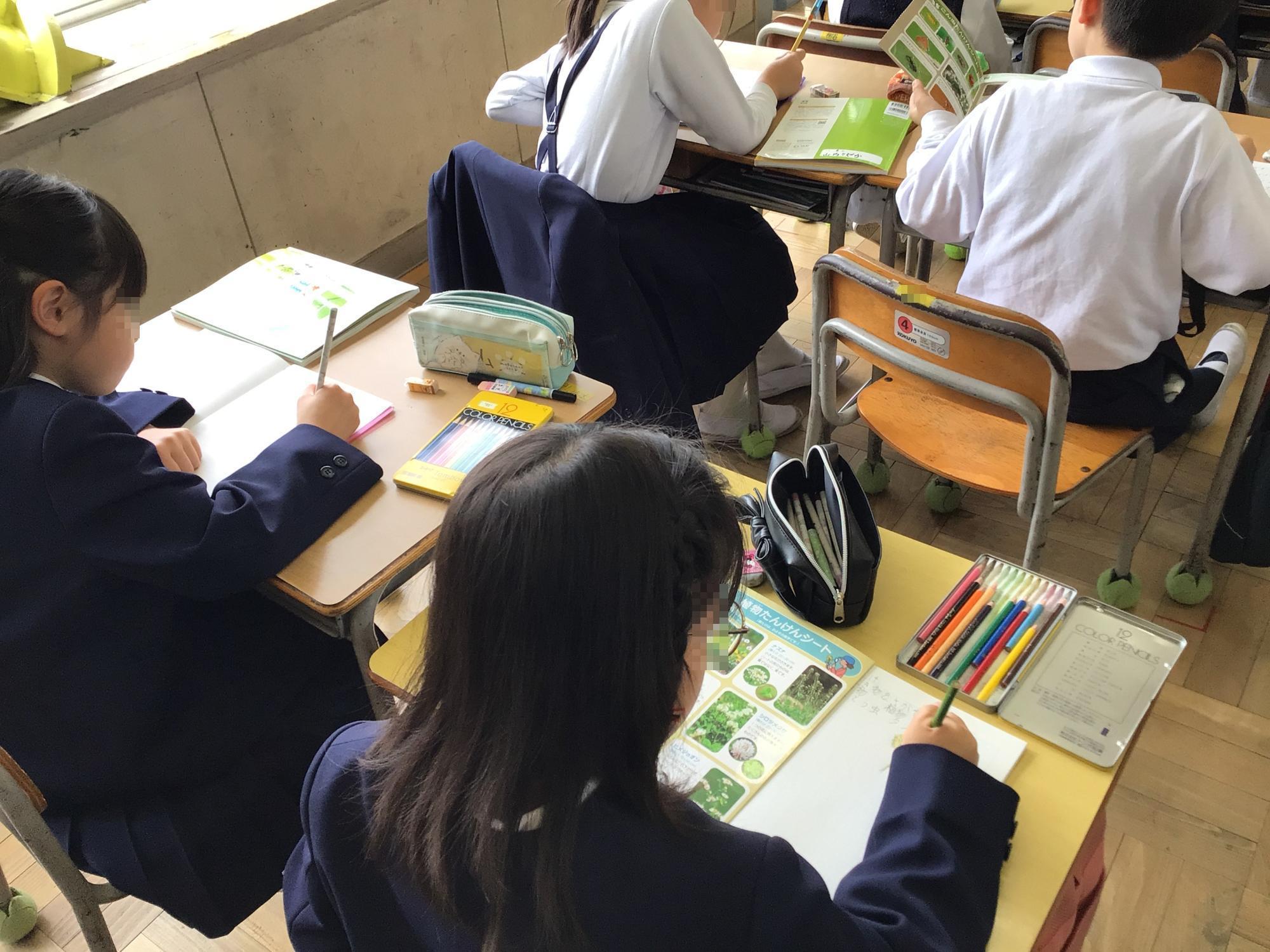 学校生活の写真