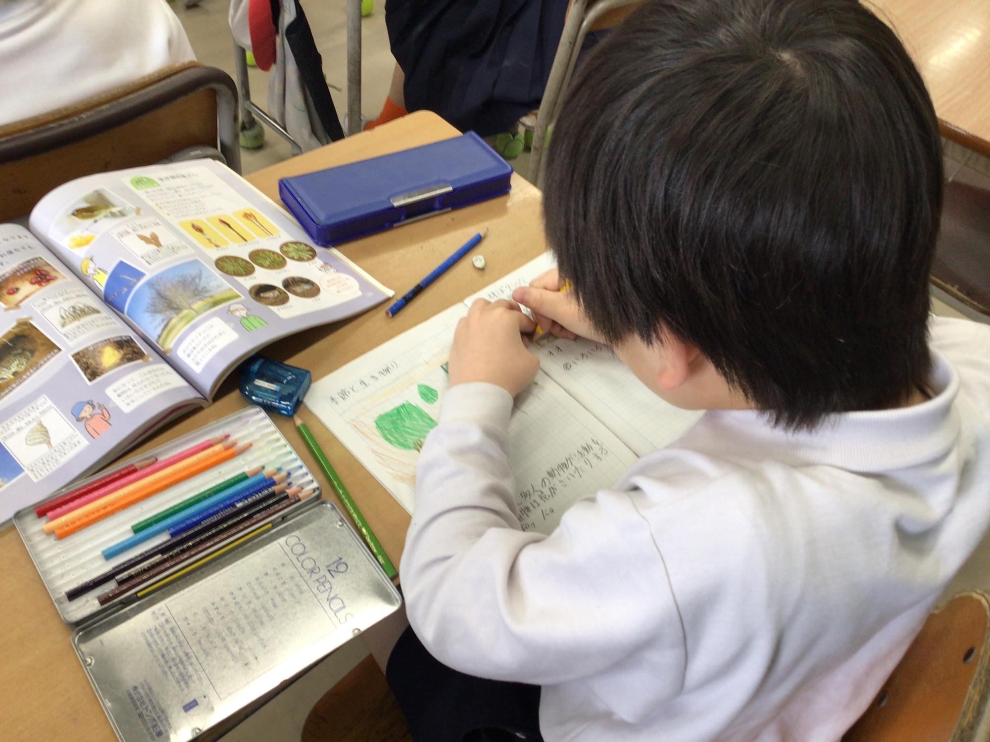 学校生活の写真