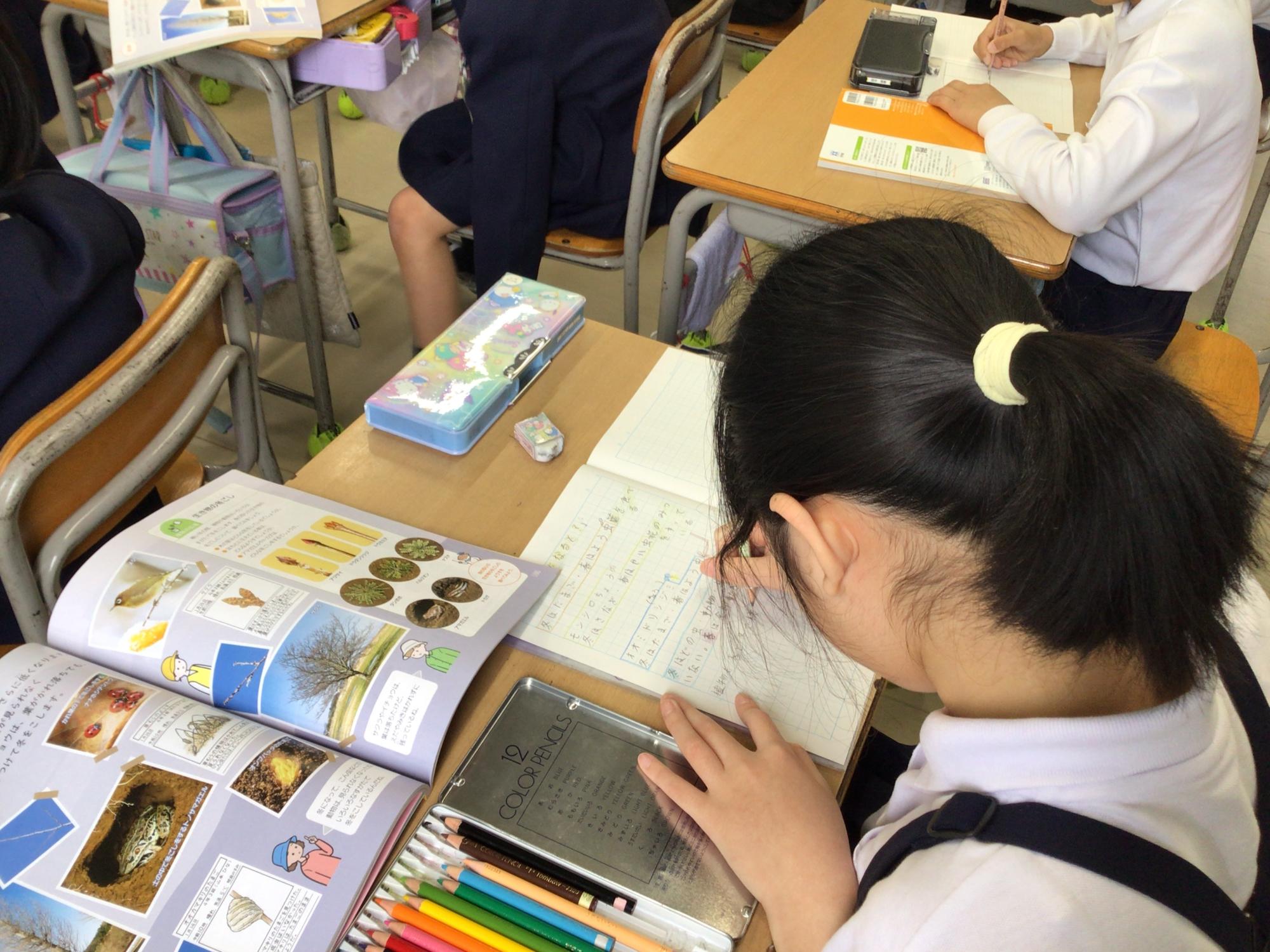学校生活の写真