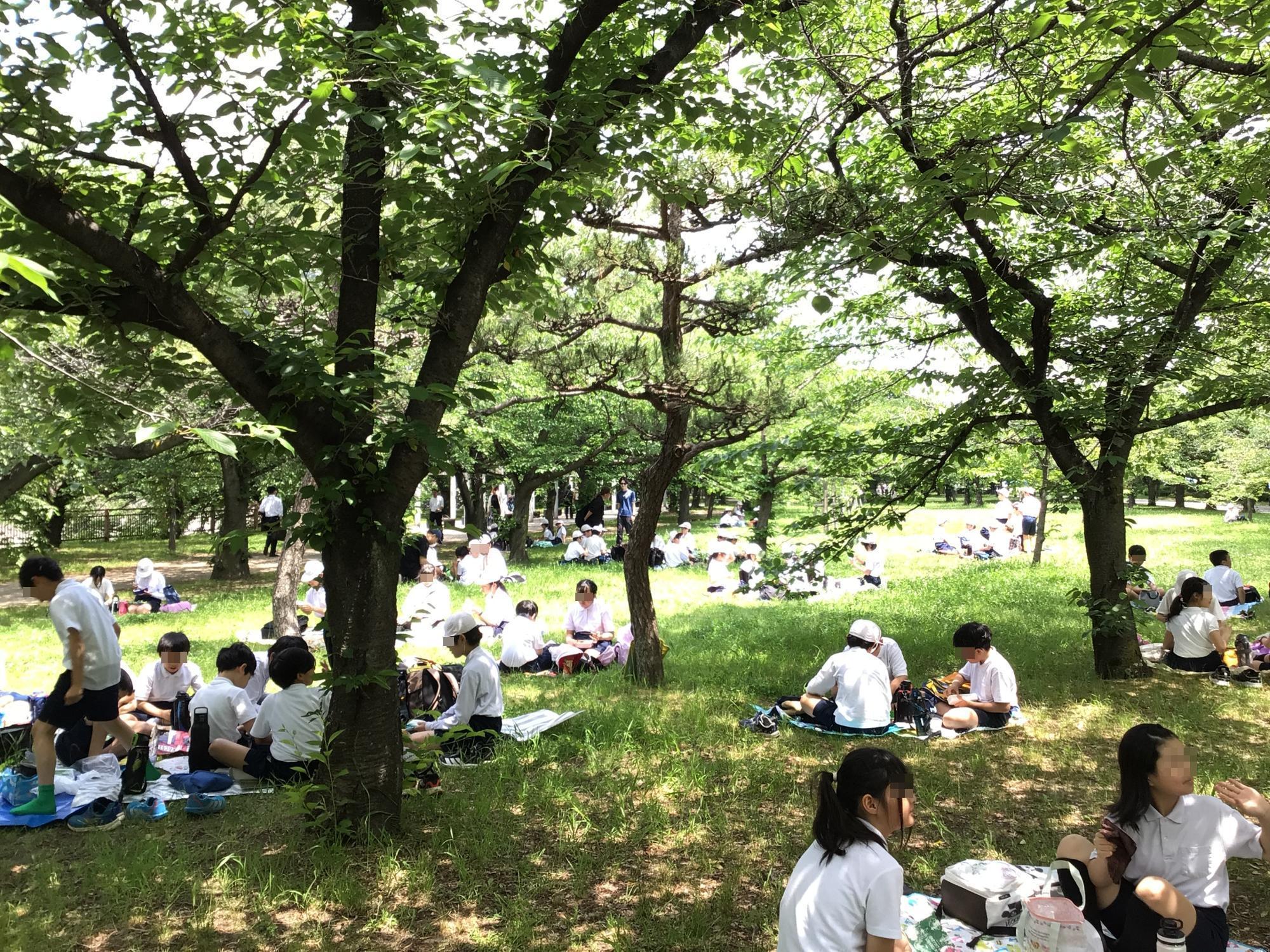 学校生活の写真