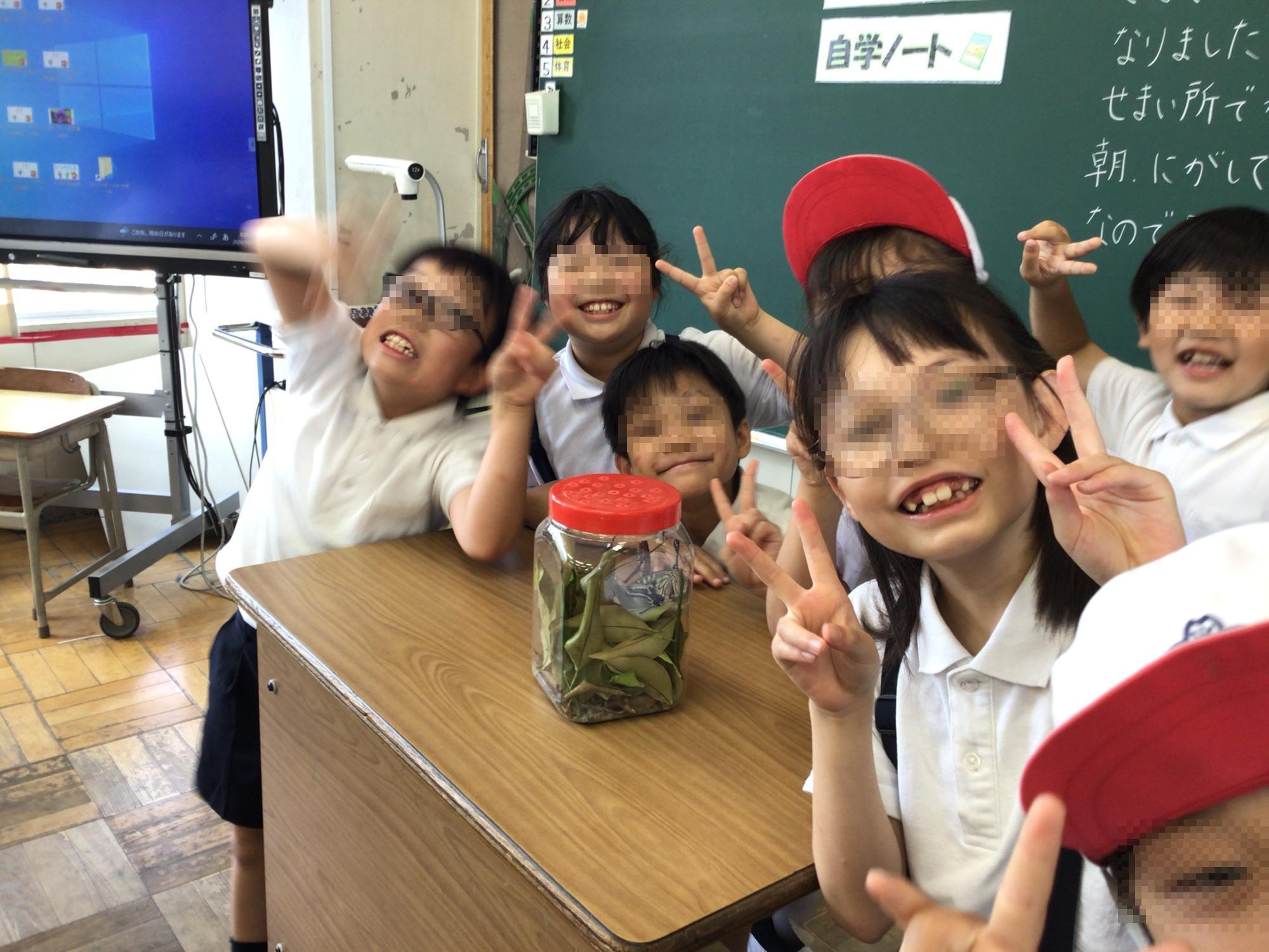 学校生活の写真