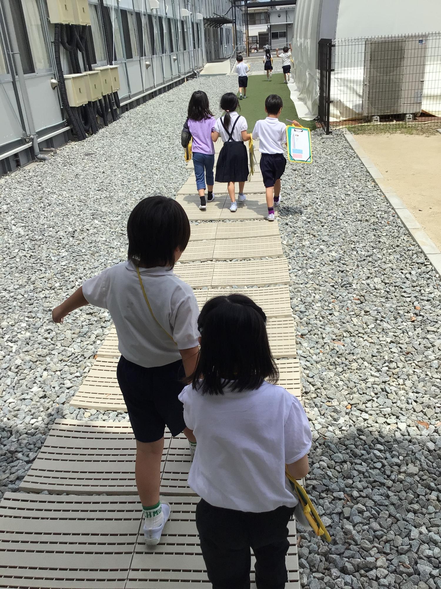 学校生活の写真