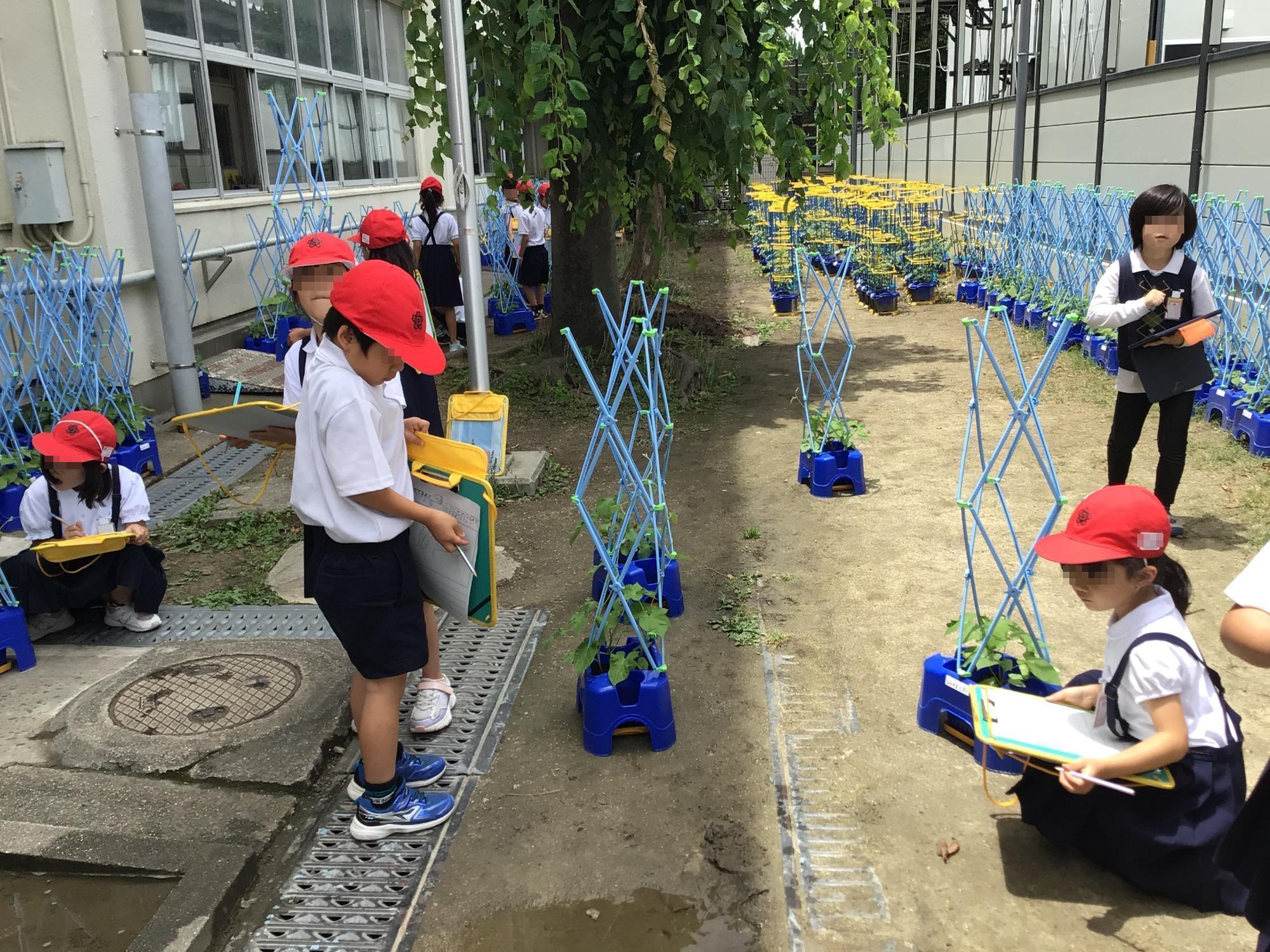 学校生活の写真