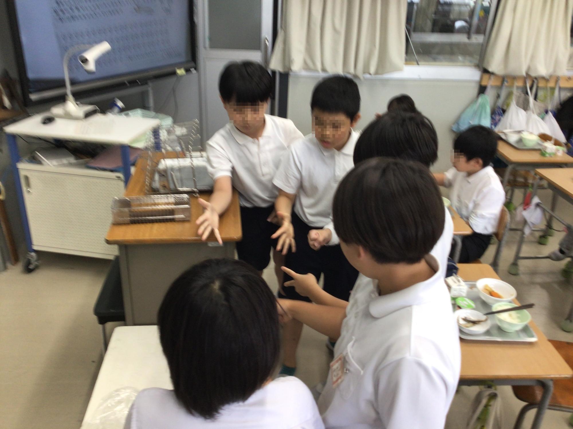 学校生活の写真