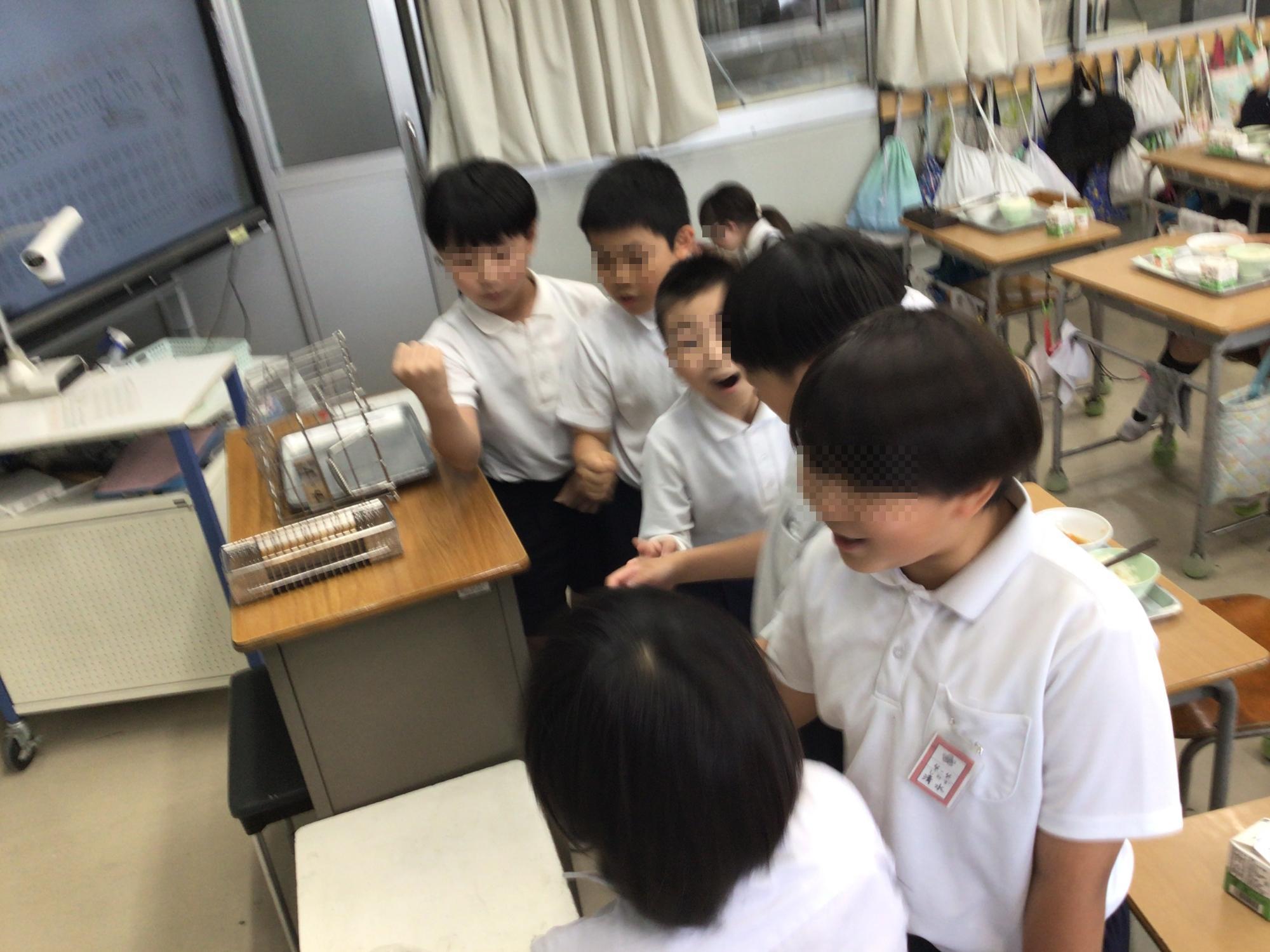 学校生活の写真