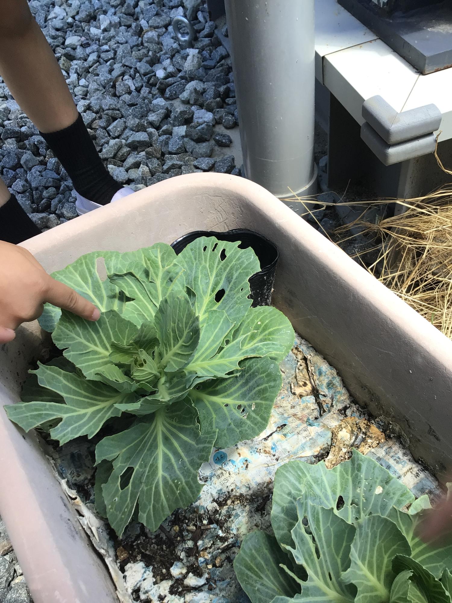 学校生活の写真