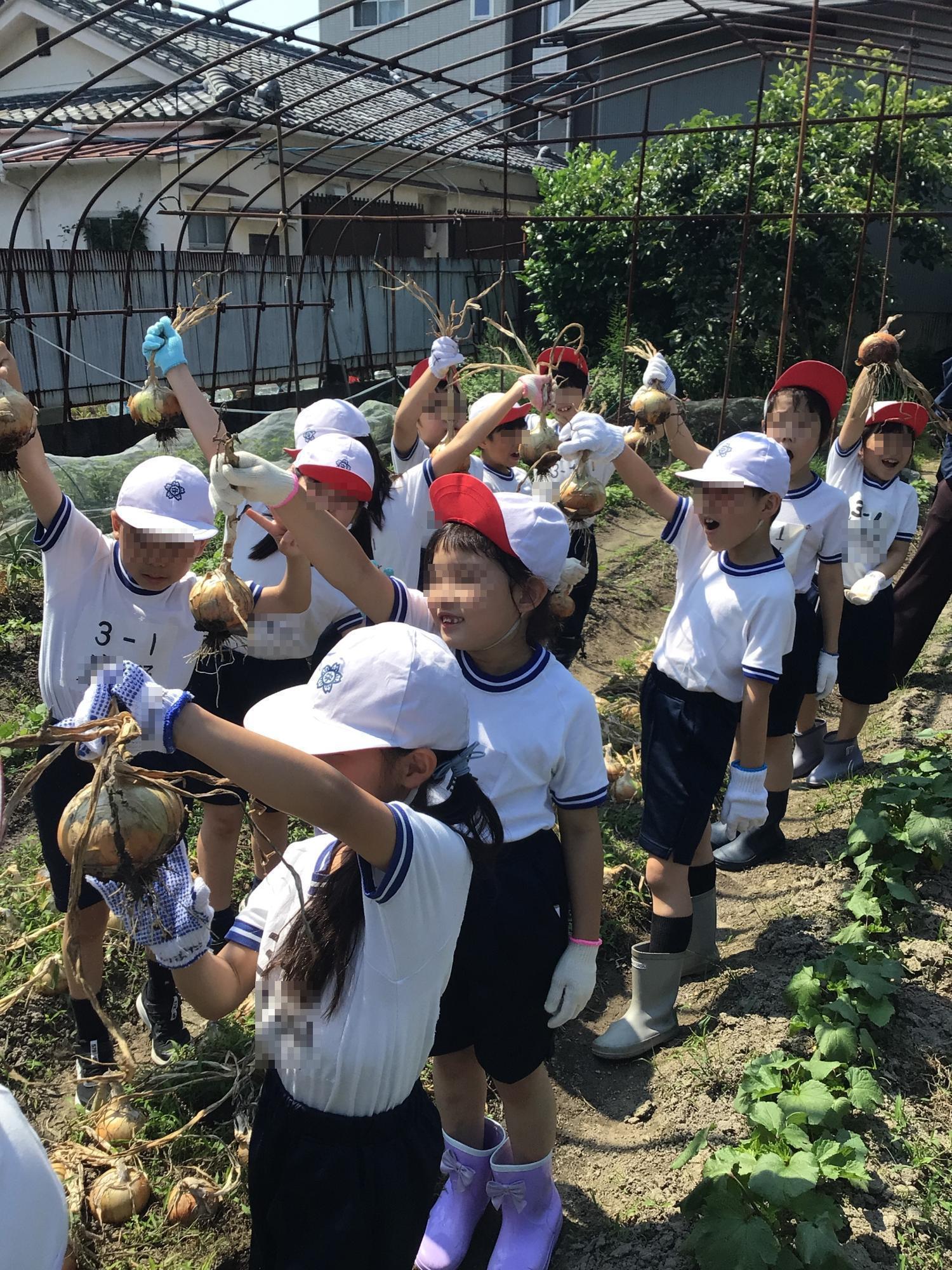学校生活の写真