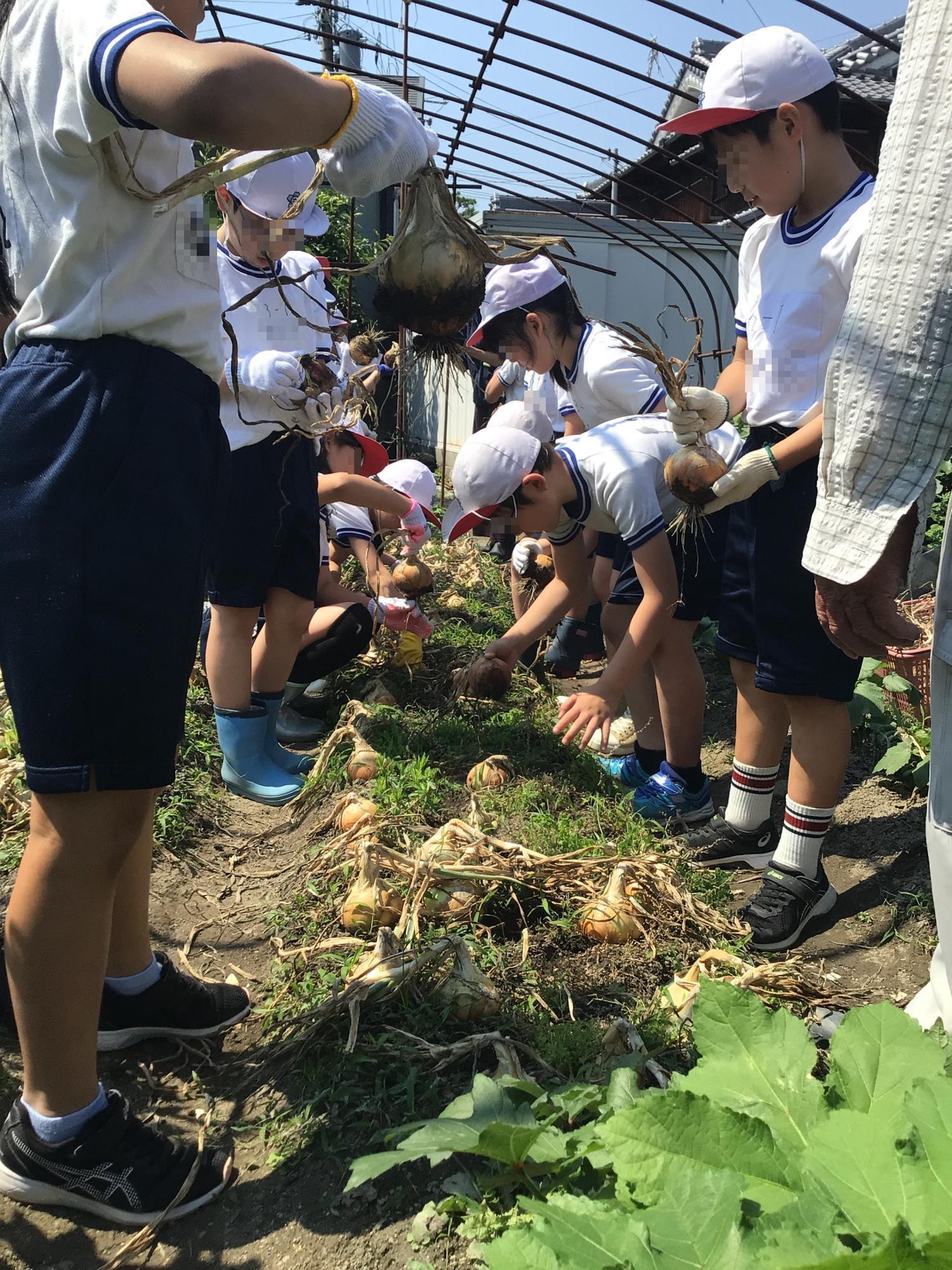 学校生活の写真