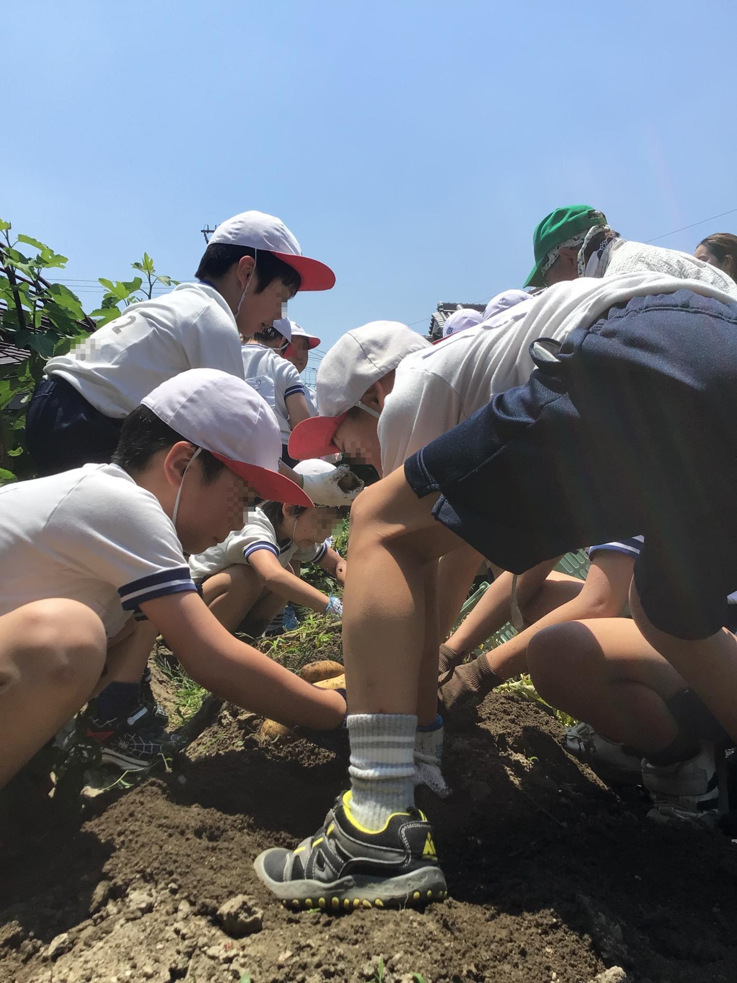 学校生活の写真