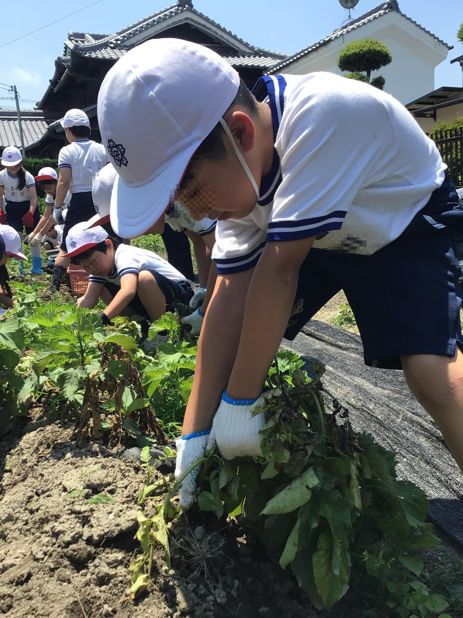 学校生活の写真