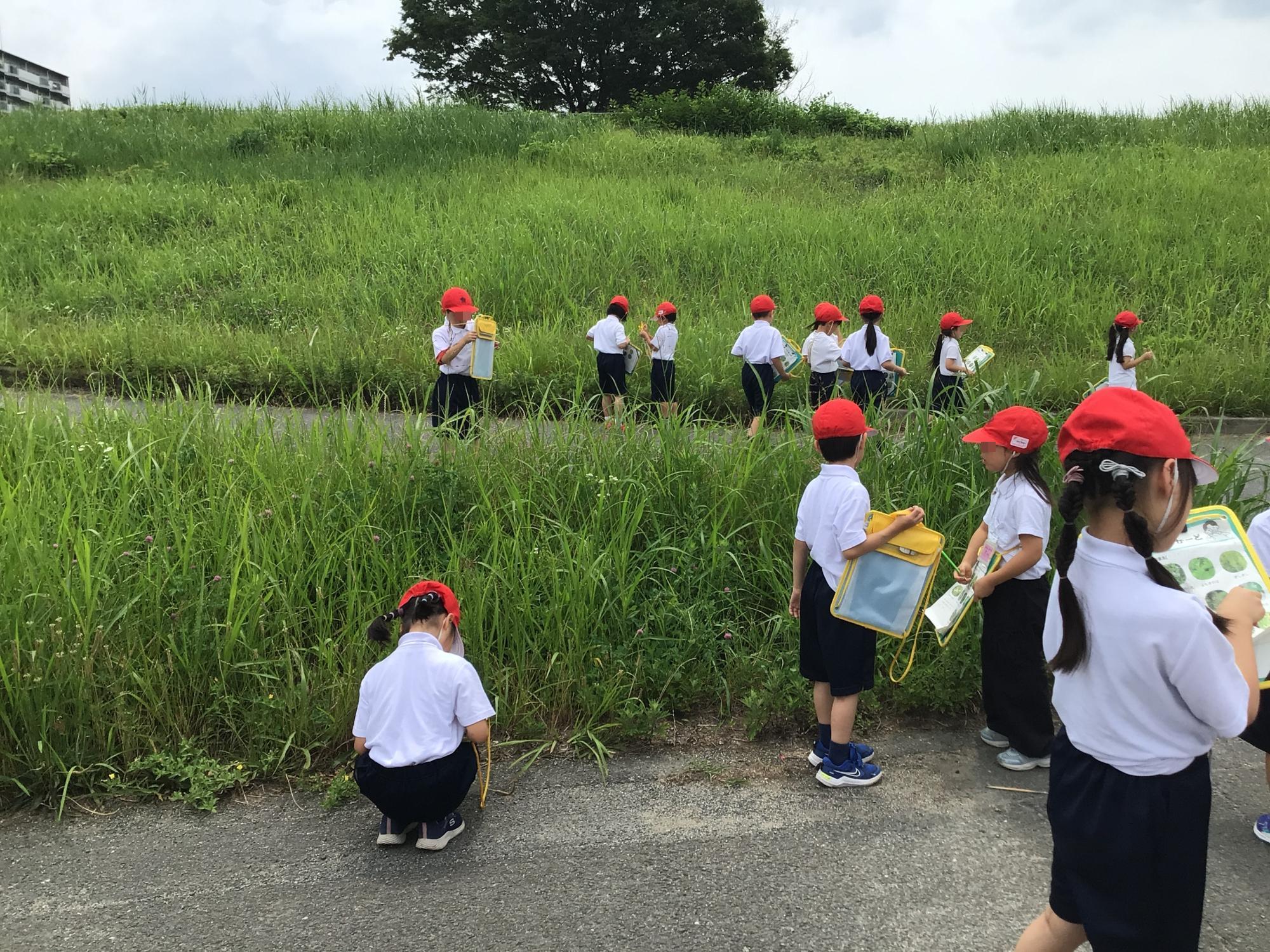 学校生活の写真