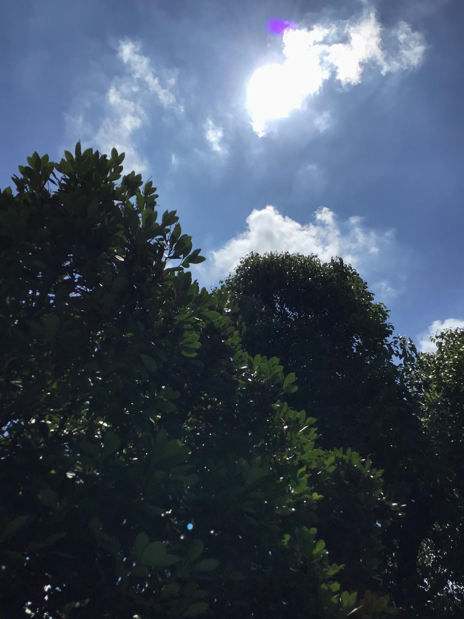 学校生活の写真