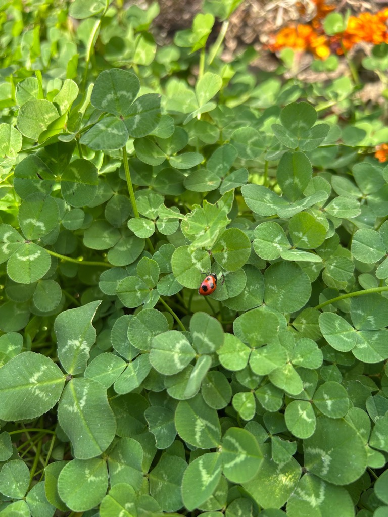 学校生活の写真