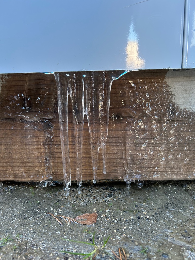 学校生活の写真