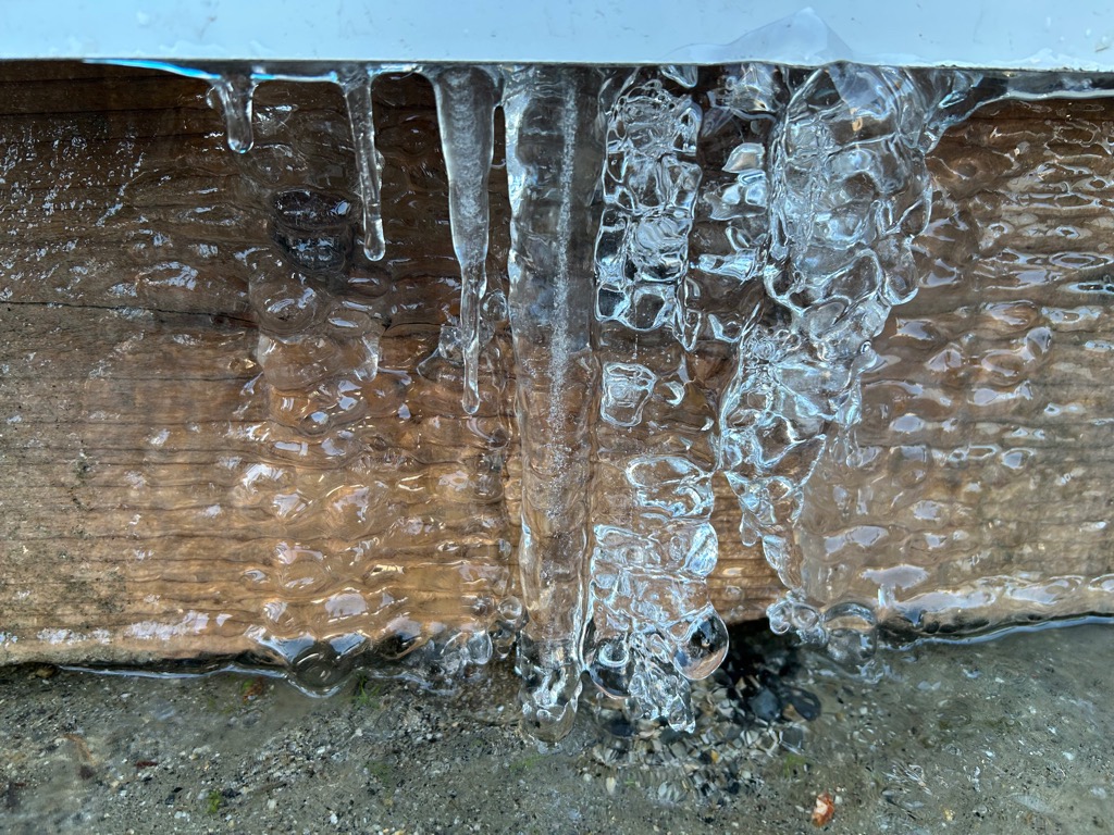 学校生活の写真