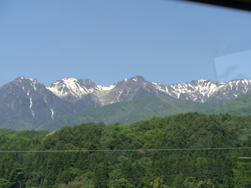奥に写る山々と、その手前に木々が並んでいる写真