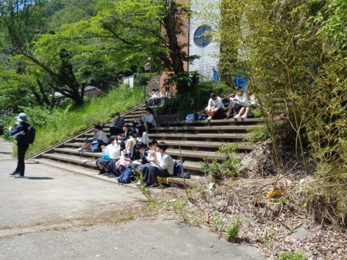 左右に木や草が生い茂る階段で、4、5人ずつ集まって座っている学生の写真