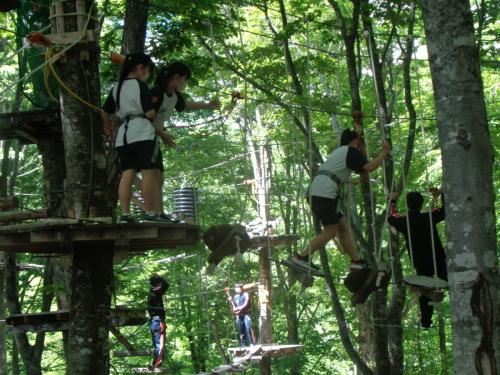 両脇のロープをしっかり持ち、慎重に足元の木の上を進んでいる学生の写真