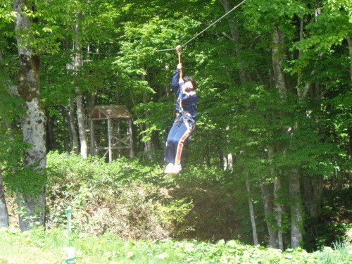 両手でロープをしっかり持ち木々の間でジップラインをしている学生の写真