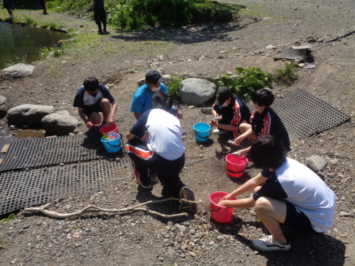 青とピンクのバケツの周りに座ってる学生たちの写真