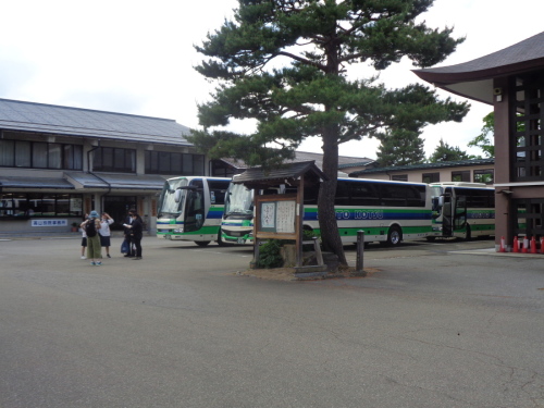 大きな木の後ろに駐車している複数台のバスの写真