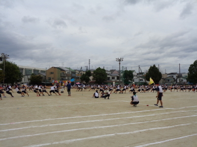 地面に置かれた白いフラッグを中心にして、多くの生徒たちが綱引きをしている写真