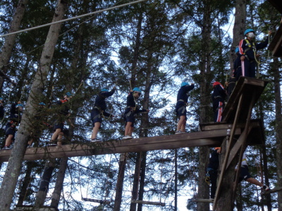 木の高い場所に造られた丸太の橋を、生徒達が次々と渡っている様子の写真