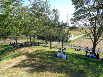 木々と芝の生えた小高くなっている広場で、生徒達が木陰に座っている写真