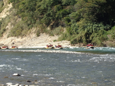 生徒達が載ったボート次々とが川を下っている様子を川岸の方から写した写真