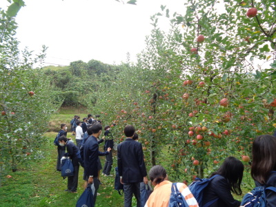 制服姿の生徒たちがりんご狩りをしている写真