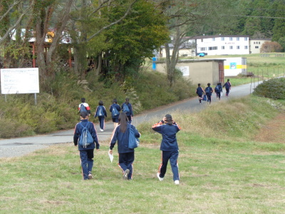 3、4人ほどのグループに分かれオリエンテーリングの道を歩いている様子を後ろから写している写真
