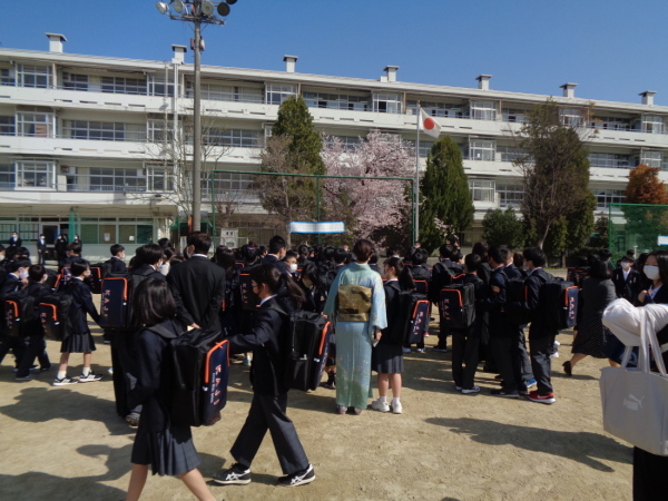 桜の花が咲いている校庭で新入生がクラス分けの紙を見ている写真