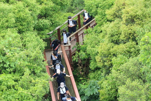 木々の間にある橋を一列になって歩いている学生たちの写真