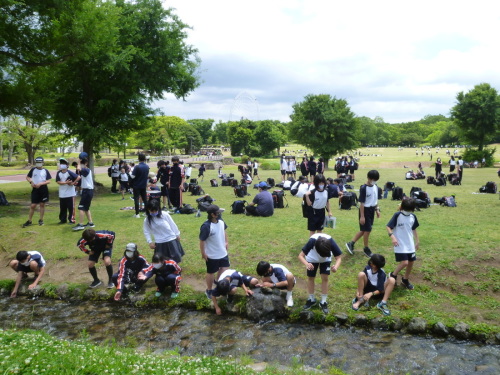 水辺や、芝生の上に座っている生徒たちの写真