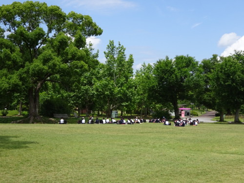 芝生の上の木陰などに集まって座っている生徒達の写真
