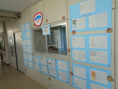 青い画用紙に貼られている3枚から4枚の生徒達が書いた作文用紙のような紙が廊下の壁に展示されている写真