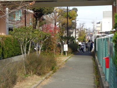 右側にフェンス、左側に街路樹が写っていて、間の道でゴミ拾いをする参加者たちの写真