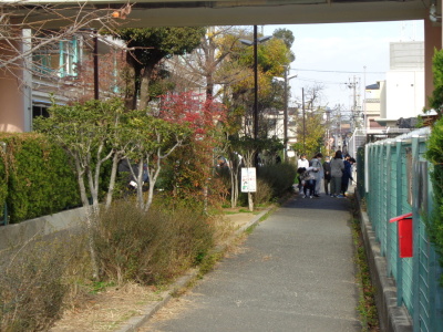 右側にフェンス、左側に街路樹が写っていて、間の道でゴミ拾いをする参加者たちの写真