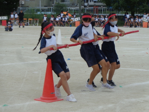 赤組の女子生徒4人が赤の長い棒を持ち、コーンの周りをまわろうとしている写真