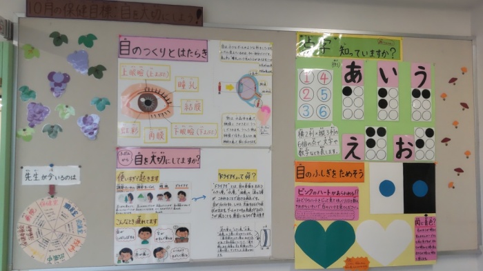 目のつくりとはたらきが掲示されている掲示板の写真