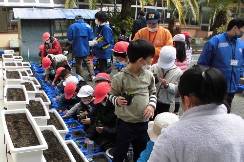 プランターに児童たちがパンジーの苗を植えている写真