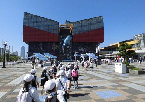 20261001海遊館