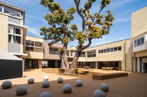 校舎の中庭のようなスペースの中央に大きな木が1本植えられ、手前には丸いオブジェが複数設置されているふれあい広場の写真