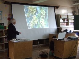 花粉症・インフルエンザについて、プロジェクターを使って説明している熊沢名誉教授の様子を写した写真